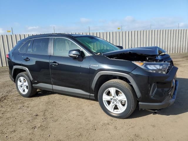 2019 Toyota Rav4 LE