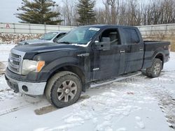 Ford salvage cars for sale: 2013 Ford F150 Supercrew