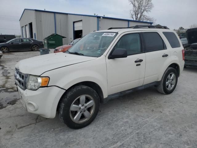 2011 Ford Escape XLT