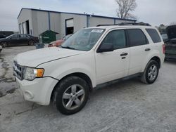 Ford salvage cars for sale: 2011 Ford Escape XLT