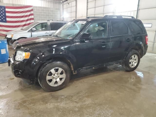 2009 Ford Escape Limited