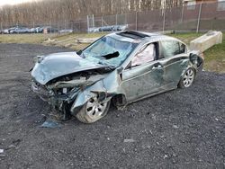 Salvage cars for sale from Copart Finksburg, MD: 2010 Honda Accord EXL