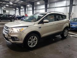 Salvage cars for sale from Copart Ham Lake, MN: 2018 Ford Escape SEL