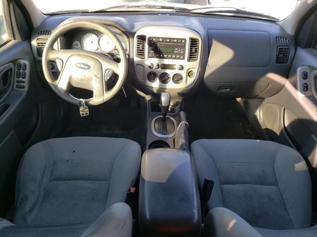 2007 Ford Escape XLT