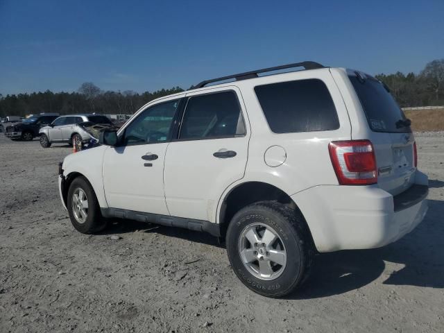 2011 Ford Escape XLT