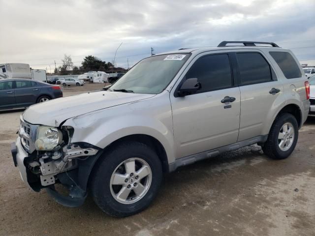 2009 Ford Escape XLT