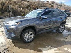 2023 Toyota Rav4 XLE for sale in Reno, NV