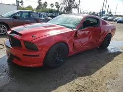 Salvage cars for sale at Riverview, FL auction: 2005 Ford Mustang GT