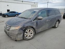 Salvage cars for sale at Farr West, UT auction: 2015 Honda Odyssey EXL