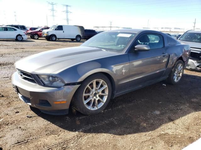 2010 Ford Mustang