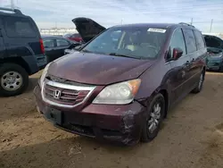 Salvage cars for sale at Elgin, IL auction: 2010 Honda Odyssey EXL