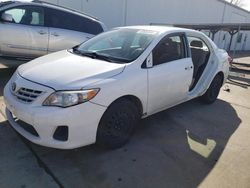 Toyota Corolla salvage cars for sale: 2013 Toyota Corolla Base