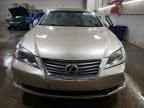 2011 Lexus ES 350