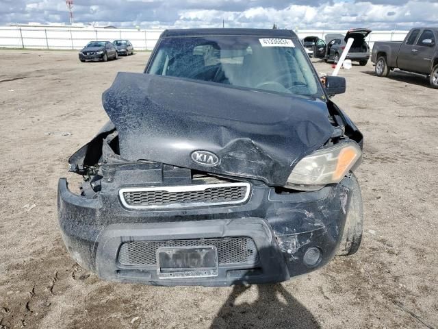 2011 KIA Soul +