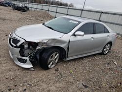 Salvage cars for sale from Copart Lawrenceburg, KY: 2010 Toyota Camry SE