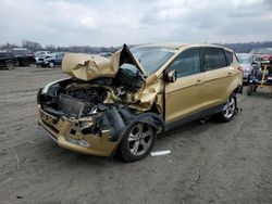 Ford Vehiculos salvage en venta: 2014 Ford Escape SE