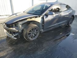 Salvage cars for sale from Copart Opa Locka, FL: 2023 Tesla Model 3