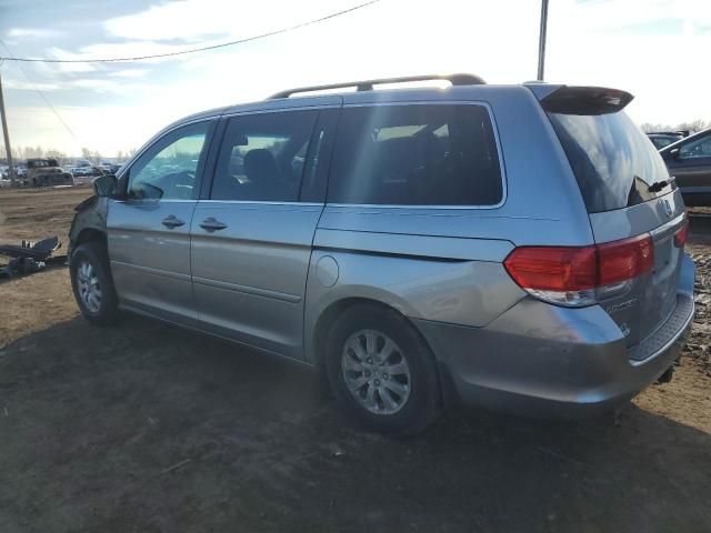 2010 Honda Odyssey EXL