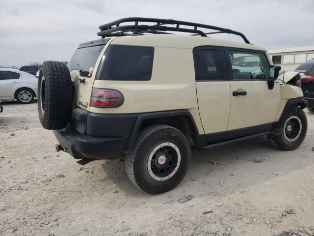 2010 Toyota FJ Cruiser