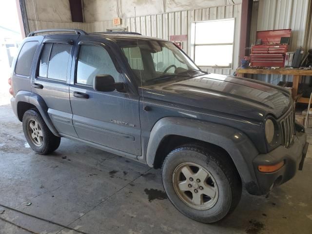 2003 Jeep Liberty Limited