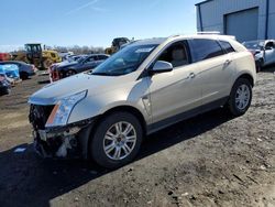 Salvage cars for sale from Copart Windsor, NJ: 2011 Cadillac SRX Luxury Collection