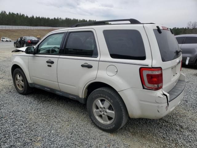 2010 Ford Escape XLT