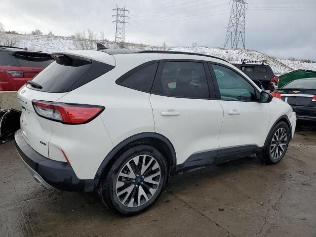 2020 Ford Escape SE Sport