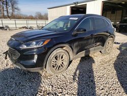 Ford Escape SEL salvage cars for sale: 2020 Ford Escape SEL