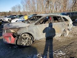 Salvage cars for sale at Candia, NH auction: 2019 KIA Sorento LX