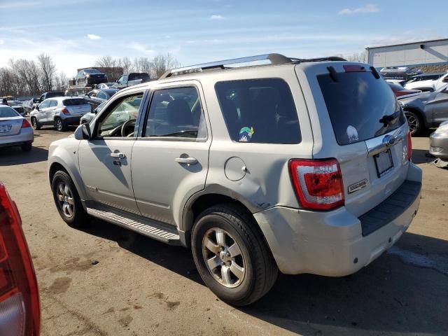 2008 Ford Escape Limited