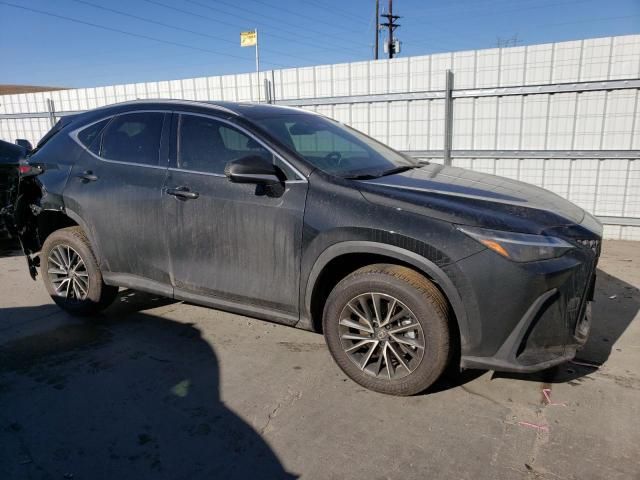 2024 Lexus NX 350H Base