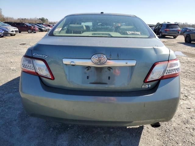 2010 Toyota Camry Hybrid