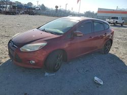 Ford Focus SE salvage cars for sale: 2013 Ford Focus SE