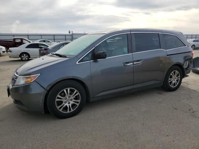 2013 Honda Odyssey EXL