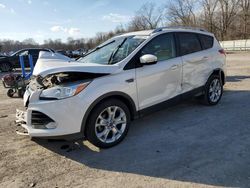 Salvage cars for sale from Copart Ellwood City, PA: 2014 Ford Escape Titanium