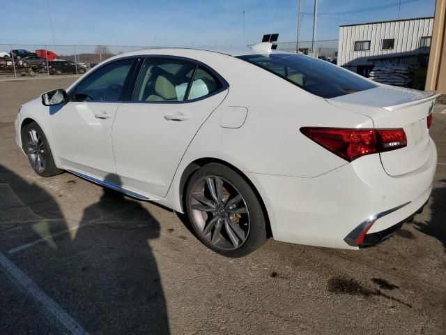 2019 Acura TLX Advance