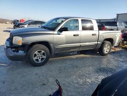 Dodge Dakota salvage cars for sale: 2006 Dodge Dakota Quad SLT