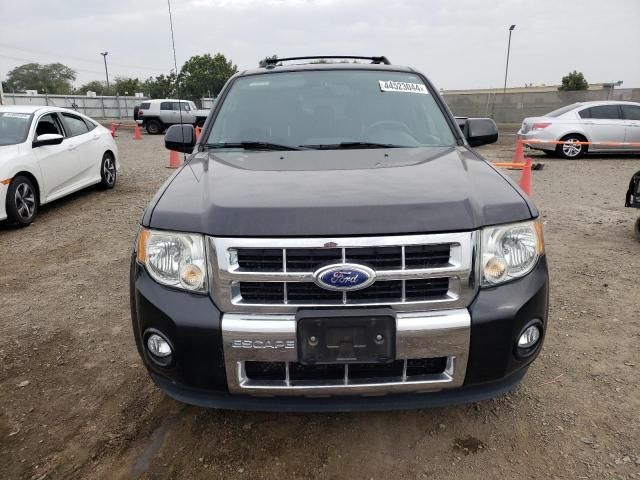 2011 Ford Escape Limited