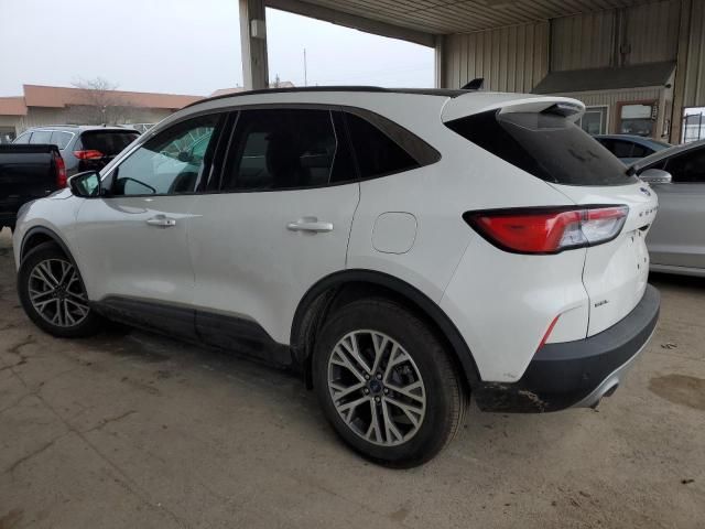 2022 Ford Escape SEL