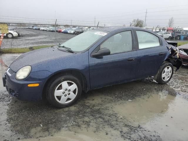 2005 Dodge Neon Base