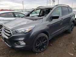 Salvage cars for sale at Elgin, IL auction: 2019 Ford Escape SE
