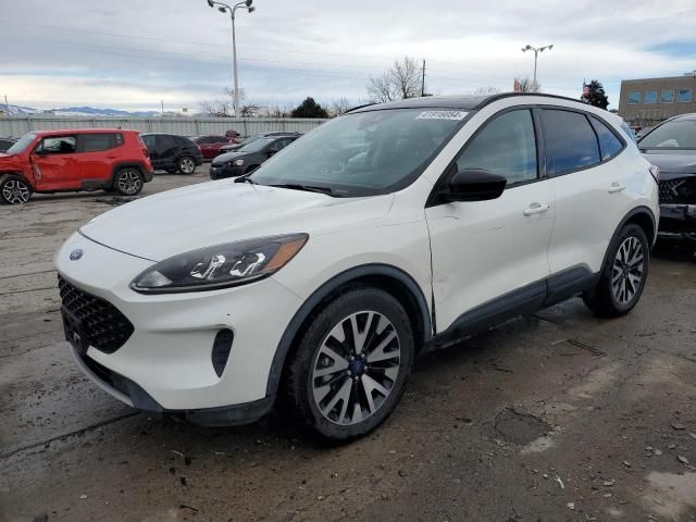 2020 Ford Escape SE Sport