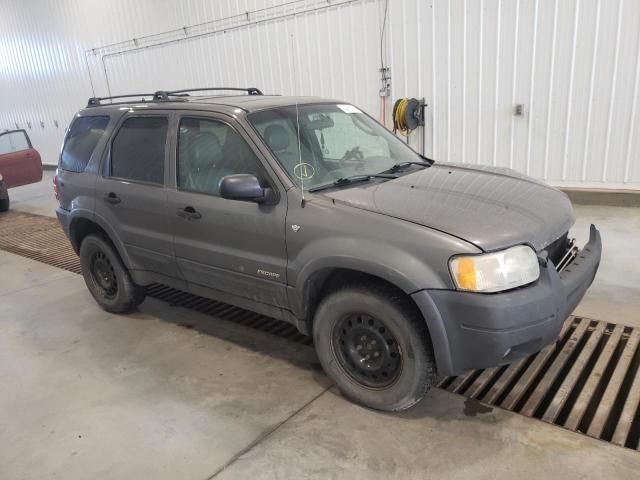 2002 Ford Escape XLT