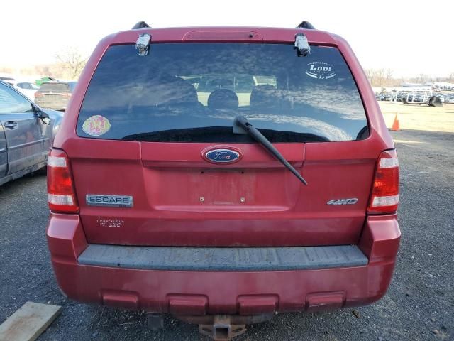 2008 Ford Escape XLT