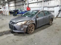 Salvage cars for sale at Woodburn, OR auction: 2013 Ford Focus SE