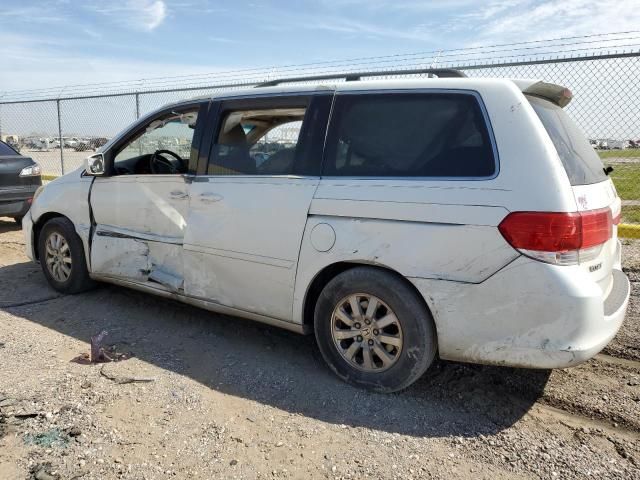 2008 Honda Odyssey EXL