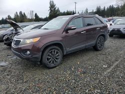 KIA Sorento EX salvage cars for sale: 2011 KIA Sorento EX