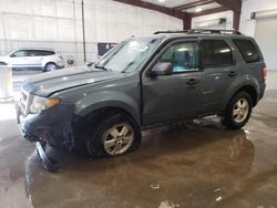 Ford Escape XLT salvage cars for sale: 2012 Ford Escape XLT