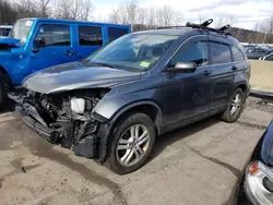 Honda salvage cars for sale: 2010 Honda CR-V EX