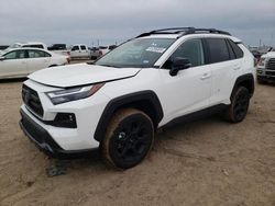 Salvage cars for sale at Amarillo, TX auction: 2023 Toyota Rav4 TRD OFF Road